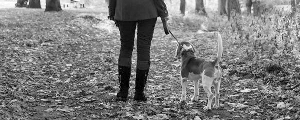 Trauer ums Tier Wenn sich die Wege für immer trennen » DER HUND