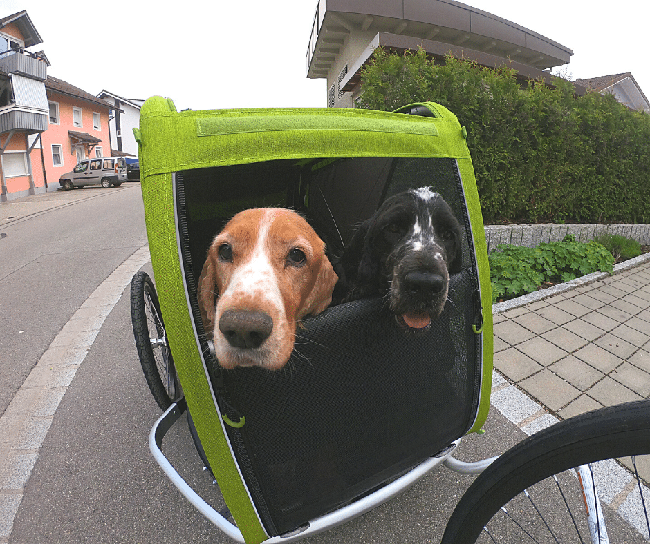 HundeAnhänger fürs Fahrrad im Test » DER HUND