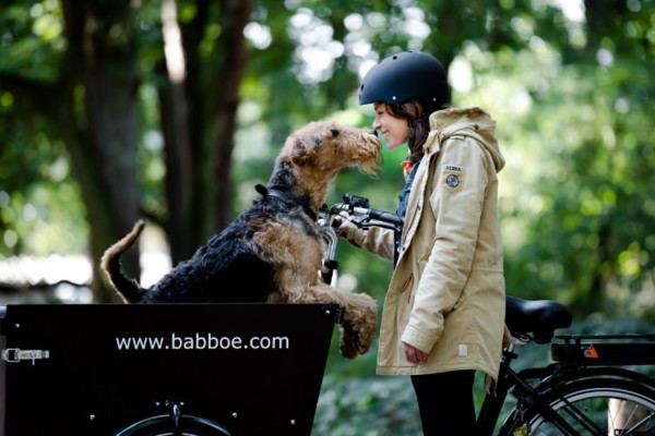 Babboe Das ideale Lastenrad für Hundefreunde » DER HUND