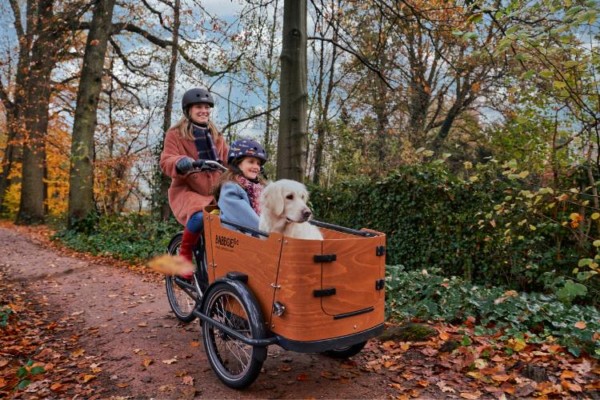 Babboe Das ideale Lastenrad für Hundefreunde » DER HUND