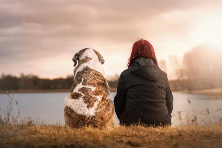 Mensch und Hund sitzen nebeneinander und schauen auf ein Gewässer. Sie sind von hinten zu sehen.