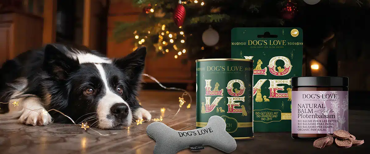 Adventskalender DOG'S LOVE