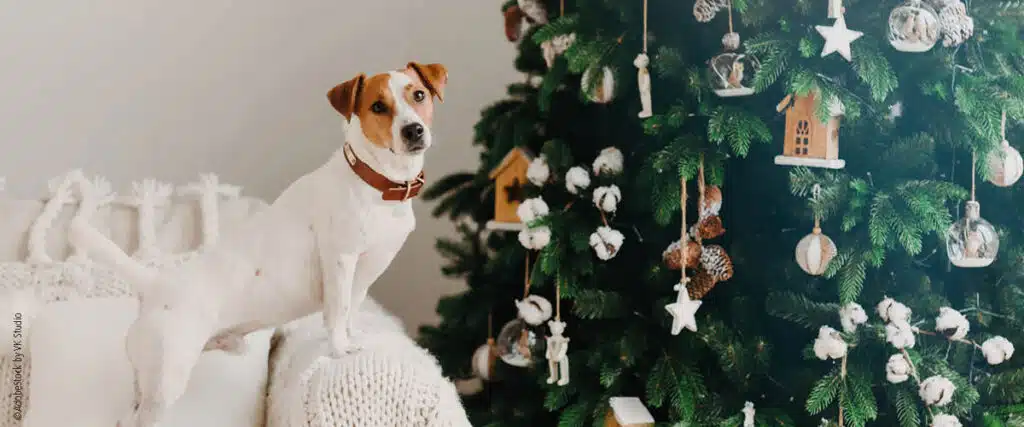 Adventskalender Müller Rüschlikon