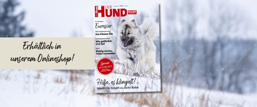 Cover der Januar/Februar-Ausgabe