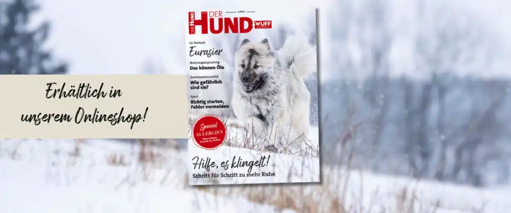 Cover der Januar/Februar-Ausgabe