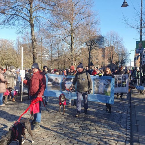 In Köln nahmen etwa 2.000 Menschen am Galgo-Marsch teil.