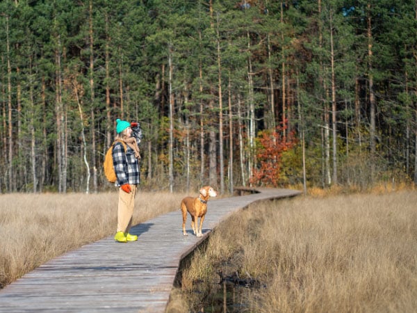 Spaziergang mit Hund im Wald, wichtig für Vorbeugung von Atemwegserkrankungen.