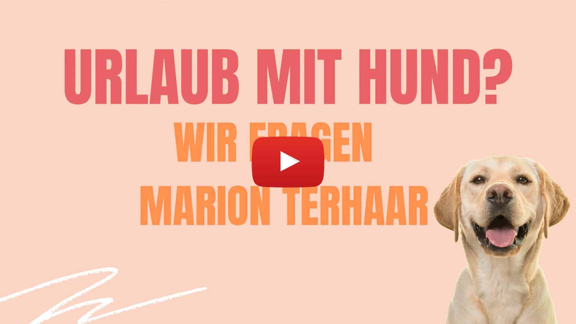 Urlaub mit Hund - mit Marion Terhaar