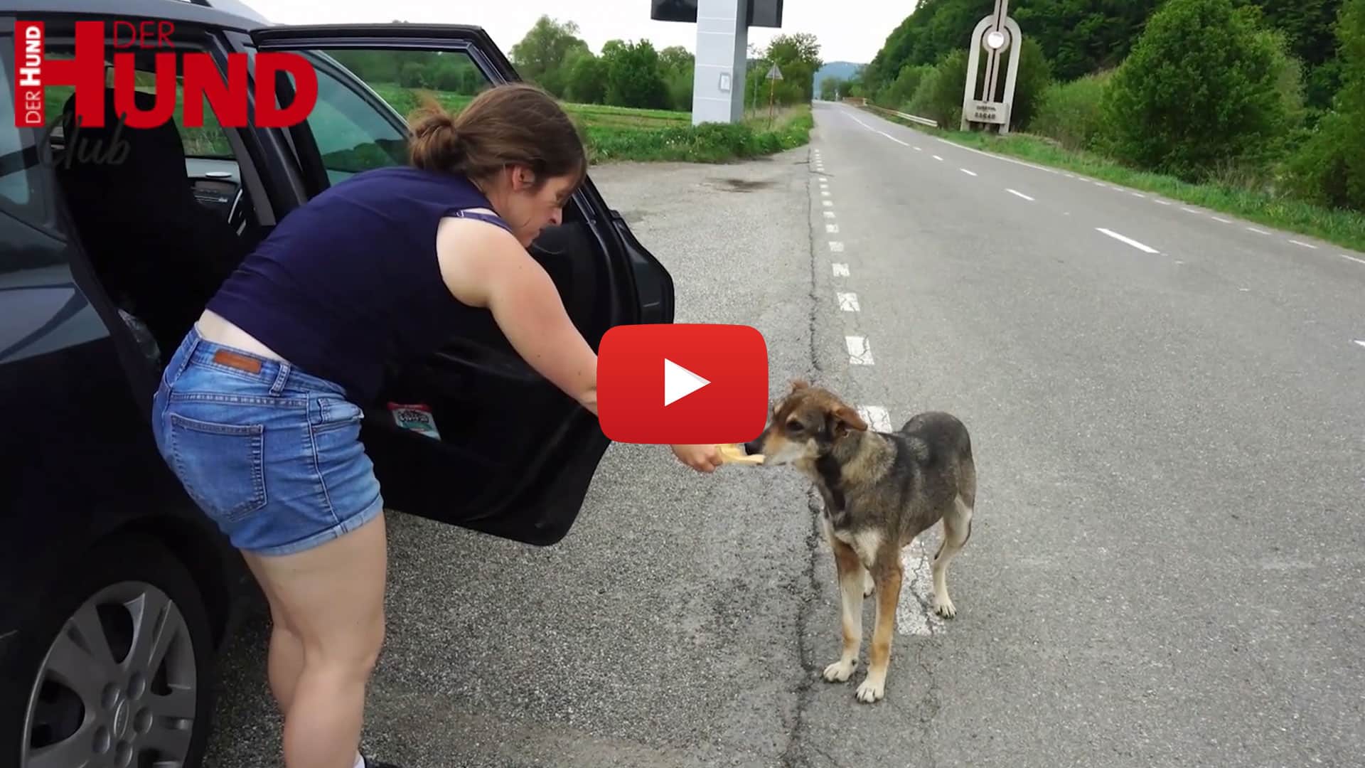 Hundetrainerin Sarah Fink