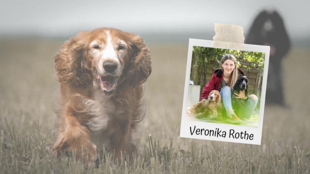 Der sichere Rückruf mit Veronika Rothe