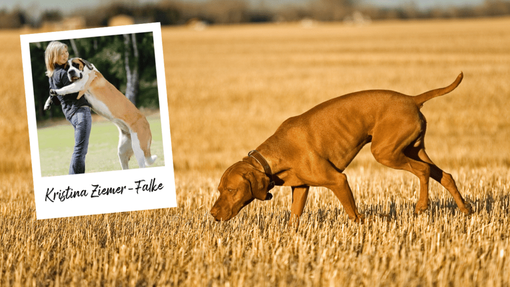 Webtalk Jagdverhalten mit Kristina Ziemer-Falke