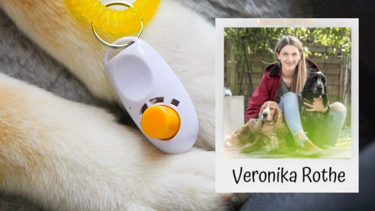 Webtalk Clickertraining mit Veronika Rothe