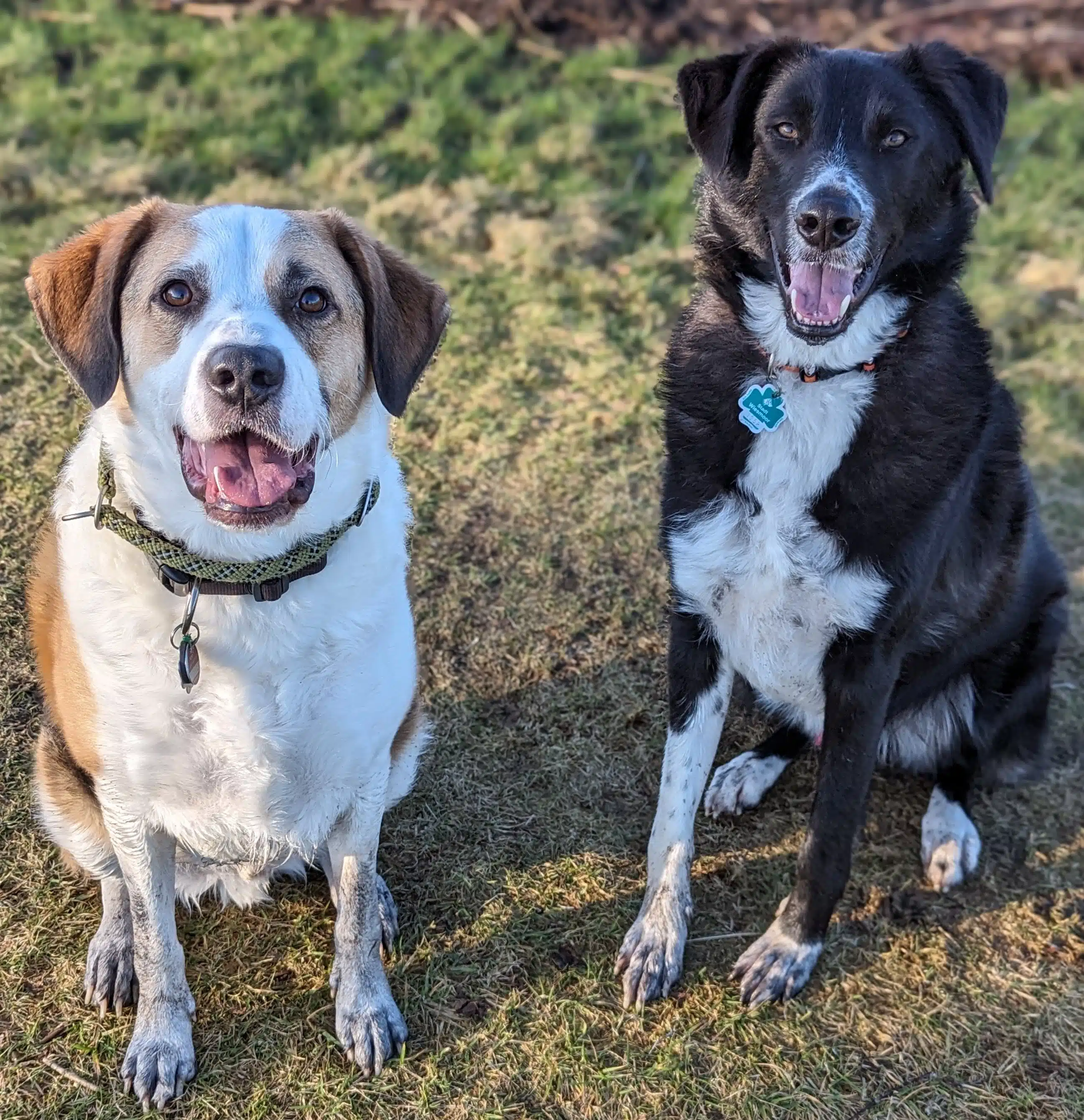 Luke & Rafi von Marion