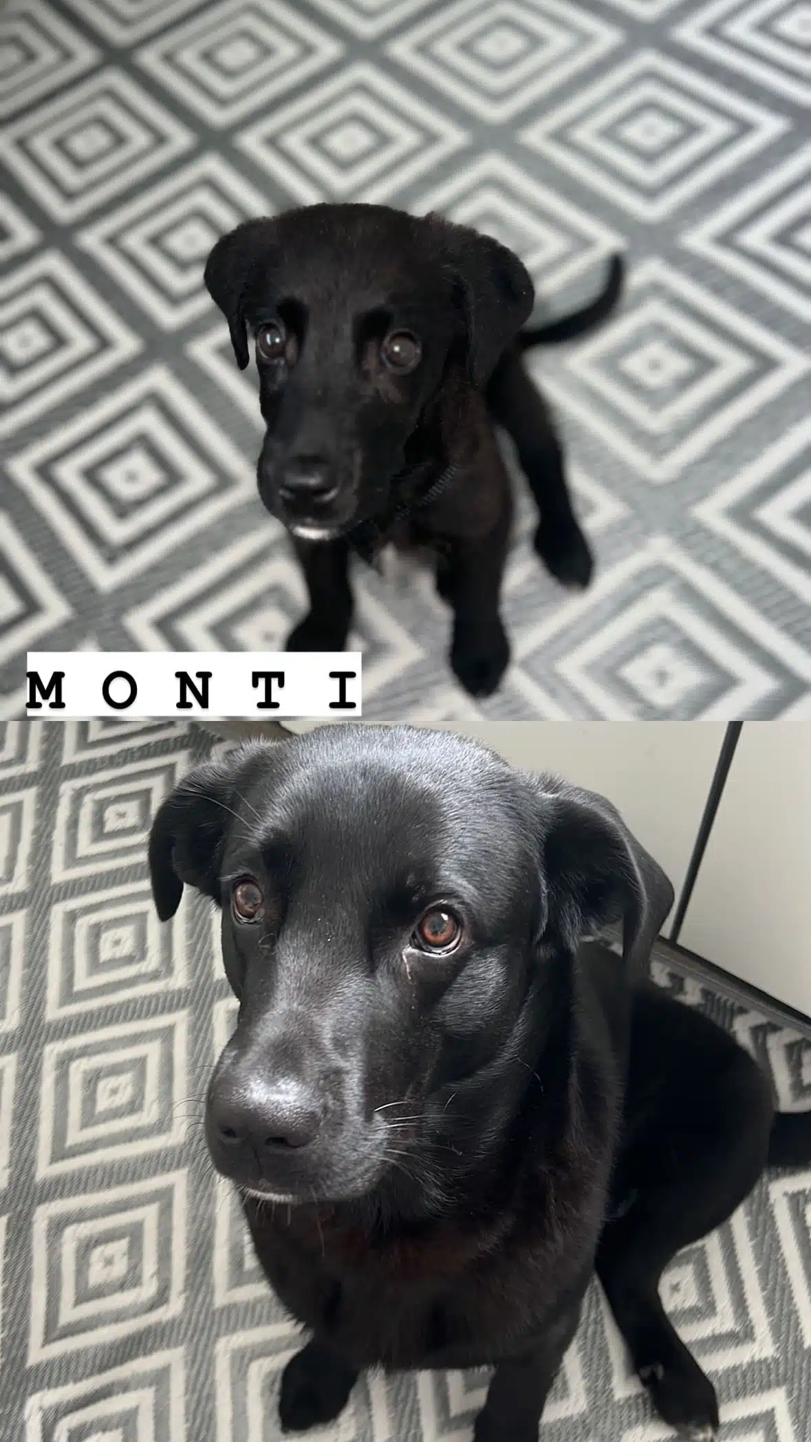 Monti von Olivia